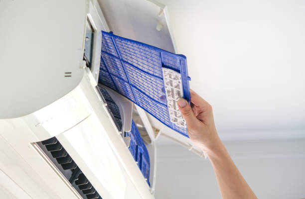 Air Duct Mold Removal in Fox Island, WA